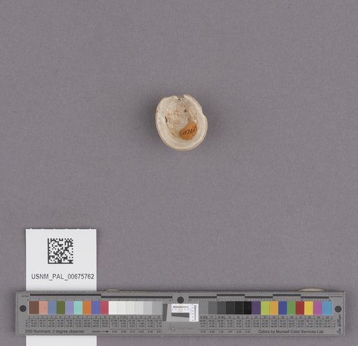 NSF ADBC EPICC TCN