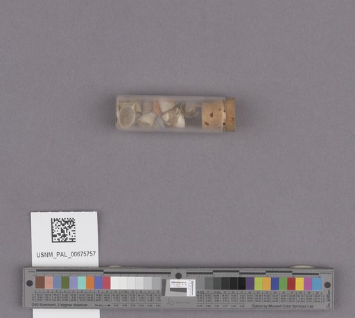 NSF ADBC EPICC TCN