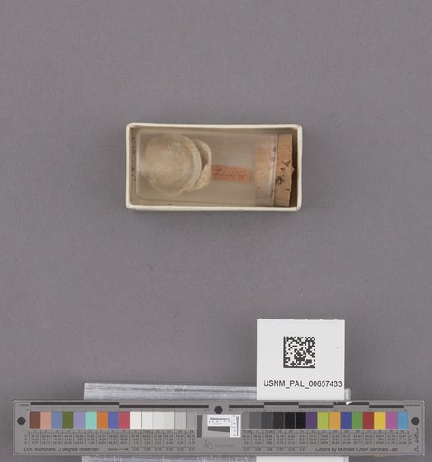 NSF ADBC EPICC TCN
