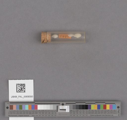 NSF ADBC EPICC TCN