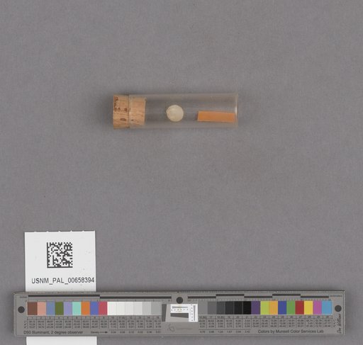 NSF ADBC EPICC TCN