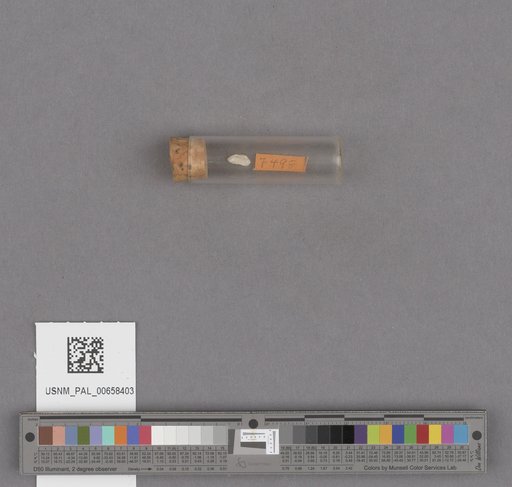 NSF ADBC EPICC TCN