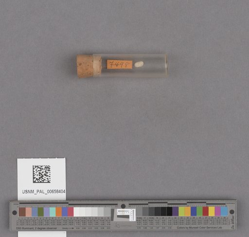 NSF ADBC EPICC TCN