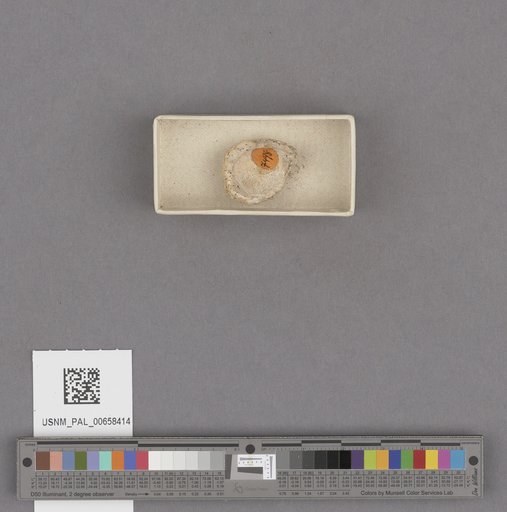 NSF ADBC EPICC TCN