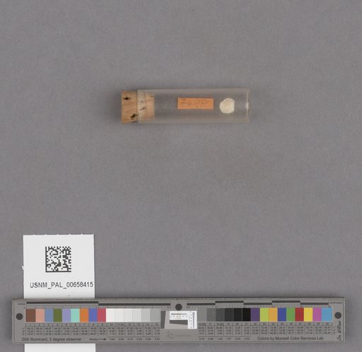 NSF ADBC EPICC TCN