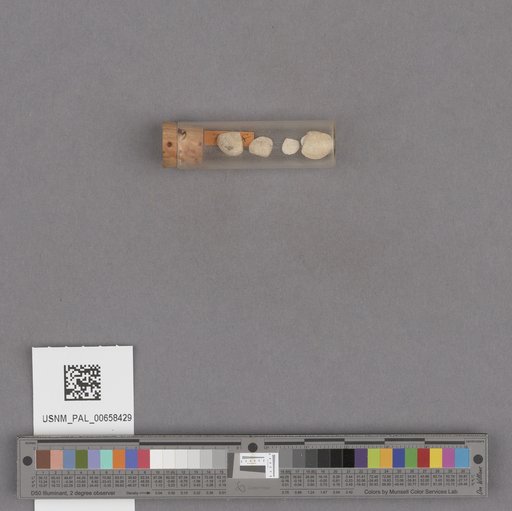 NSF ADBC EPICC TCN