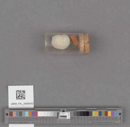 NSF ADBC EPICC TCN