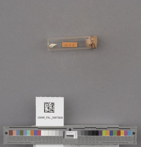 NSF ADBC EPICC TCN
