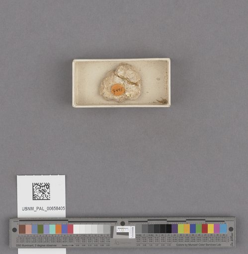NSF ADBC EPICC TCN