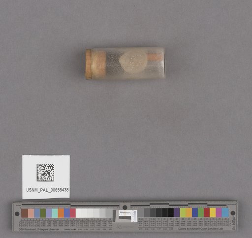 NSF ADBC EPICC TCN