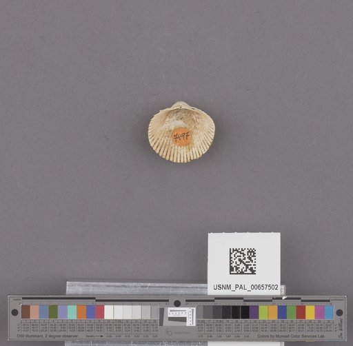 NSF ADBC EPICC TCN