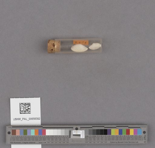 NSF ADBC EPICC TCN