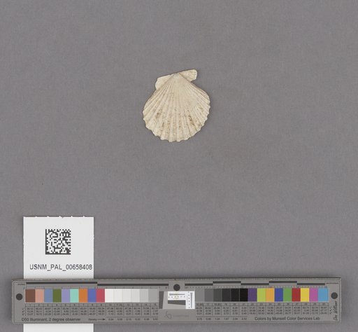 NSF ADBC EPICC TCN