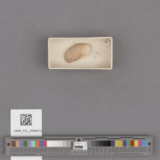 NSF ADBC EPICC TCN