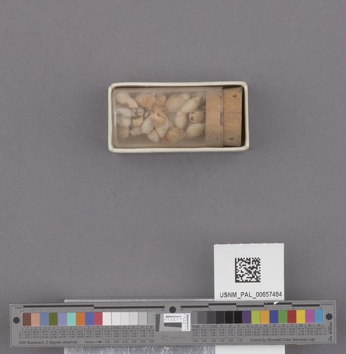 NSF ADBC EPICC TCN