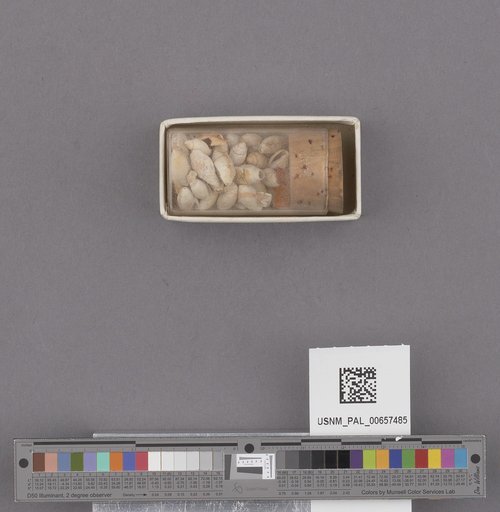 NSF ADBC EPICC TCN