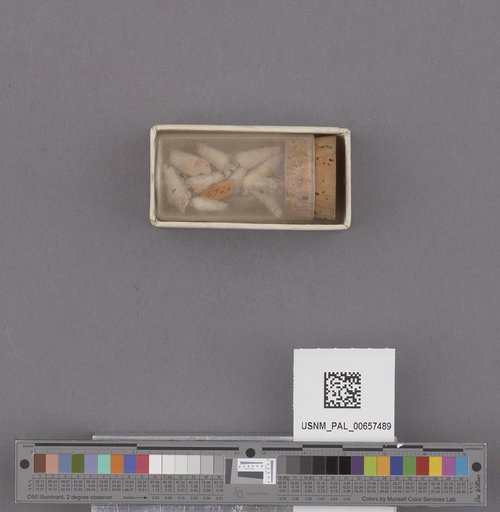 NSF ADBC EPICC TCN