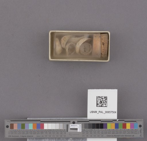 NSF ADBC EPICC TCN