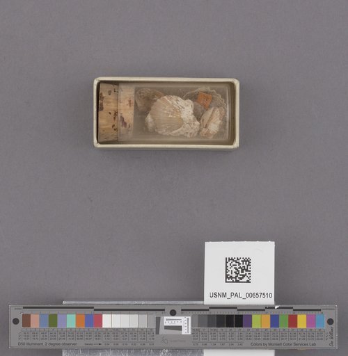 NSF ADBC EPICC TCN