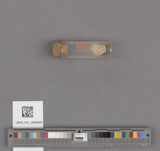 NSF ADBC EPICC TCN