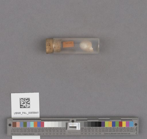 NSF ADBC EPICC TCN