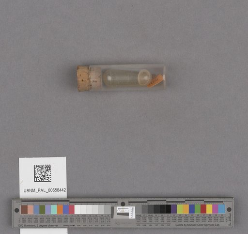 NSF ADBC EPICC TCN