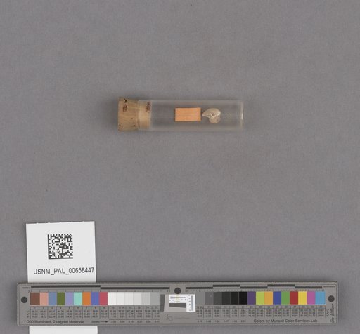NSF ADBC EPICC TCN