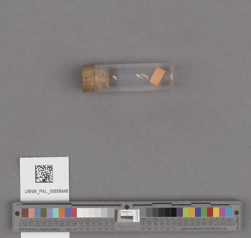NSF ADBC EPICC TCN