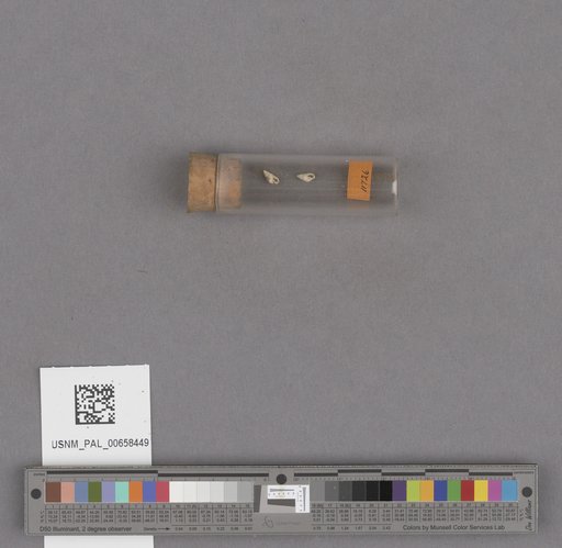 NSF ADBC EPICC TCN