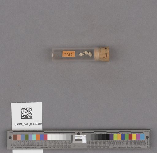 NSF ADBC EPICC TCN