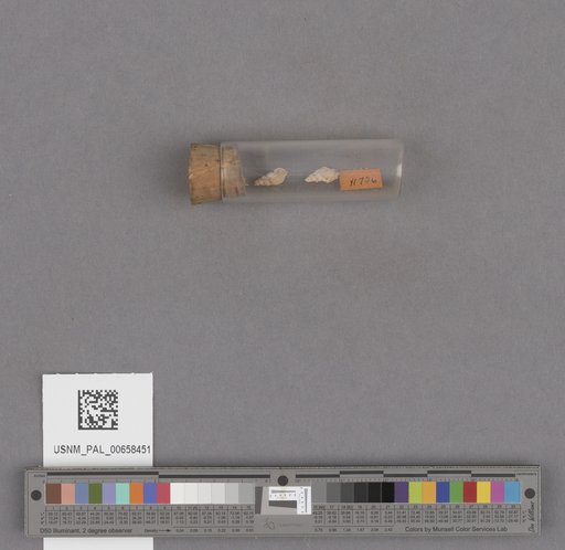 NSF ADBC EPICC TCN