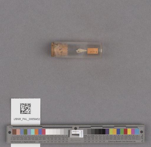 NSF ADBC EPICC TCN