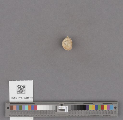 NSF ADBC EPICC TCN