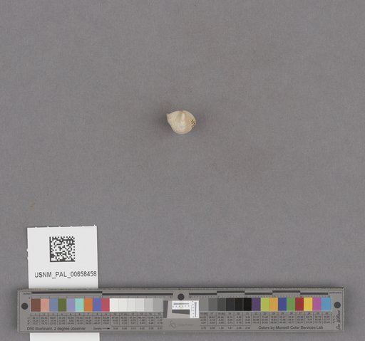 NSF ADBC EPICC TCN