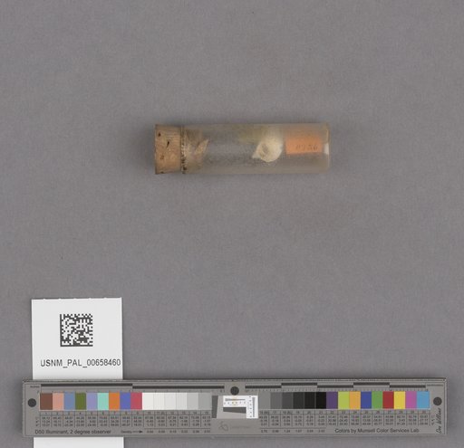 NSF ADBC EPICC TCN