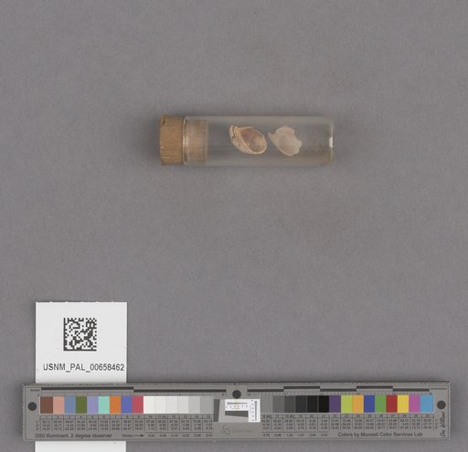 NSF ADBC EPICC TCN