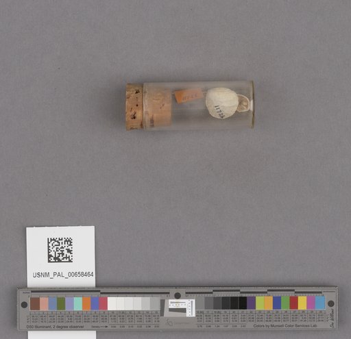 NSF ADBC EPICC TCN