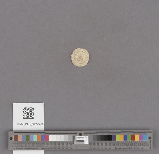 NSF ADBC EPICC TCN