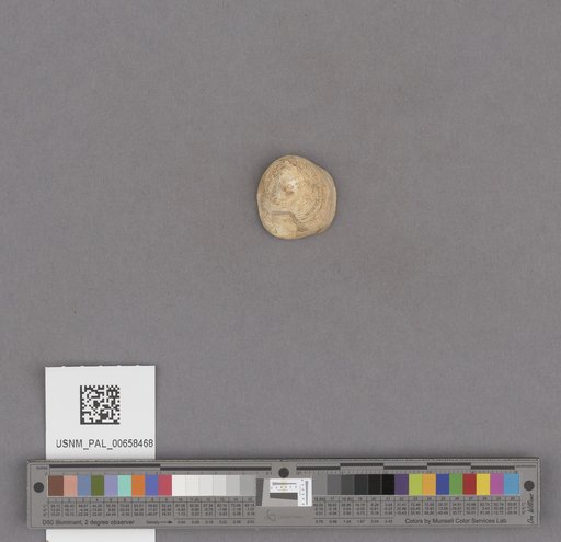 NSF ADBC EPICC TCN
