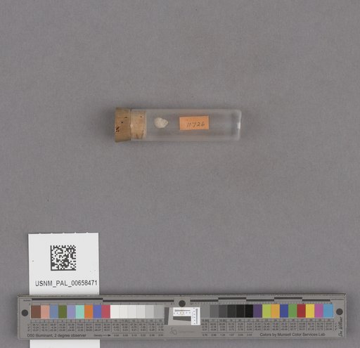 NSF ADBC EPICC TCN
