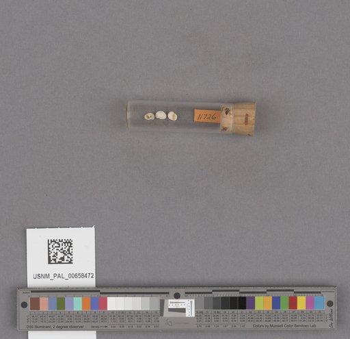 NSF ADBC EPICC TCN