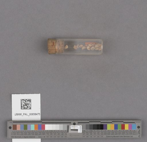 NSF ADBC EPICC TCN