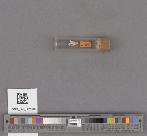 NSF ADBC EPICC TCN