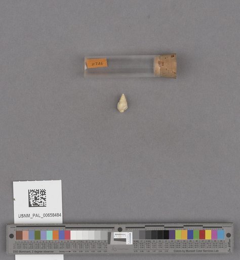 NSF ADBC EPICC TCN