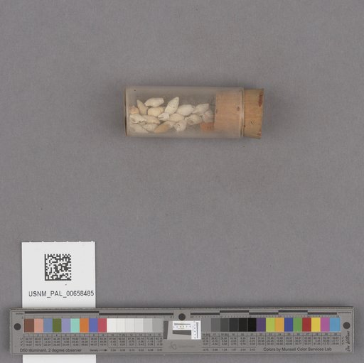 NSF ADBC EPICC TCN