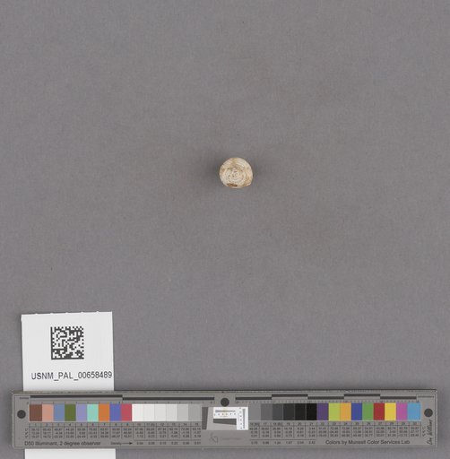 NSF ADBC EPICC TCN