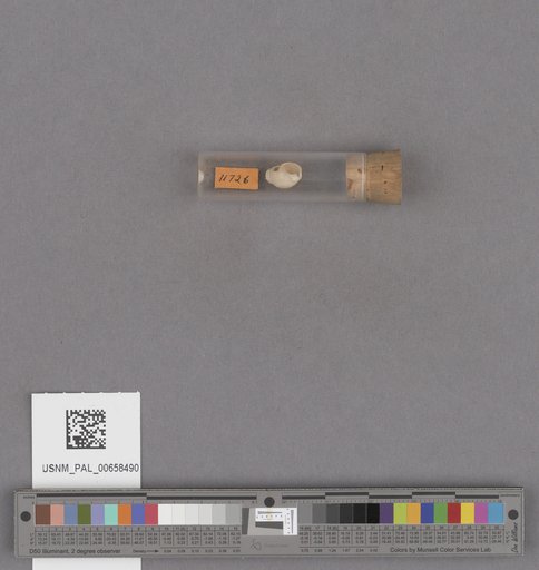 NSF ADBC EPICC TCN