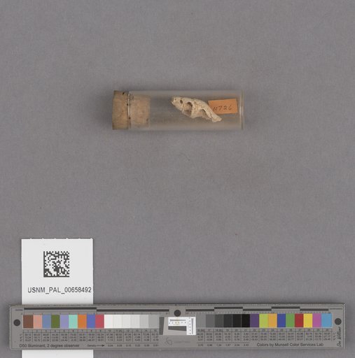 NSF ADBC EPICC TCN