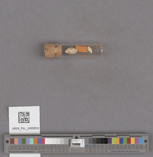 NSF ADBC EPICC TCN