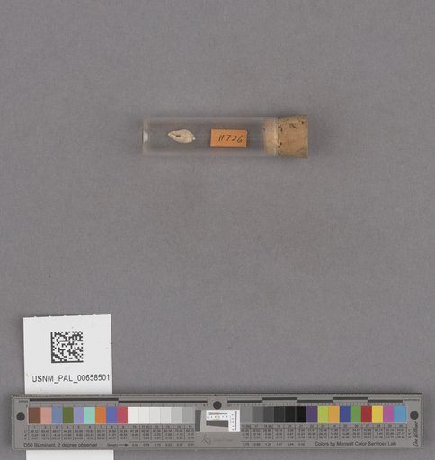 NSF ADBC EPICC TCN